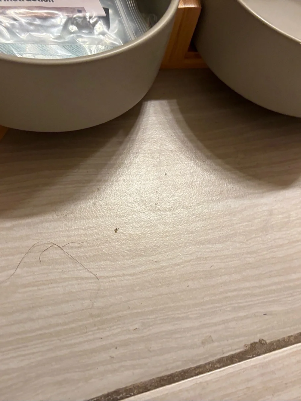 SpunkyJunky Double Pet Bowls - Light Gray